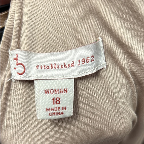 Chic Asymmetrical Lace Dress in Black and Tan - Picture 2 of 3